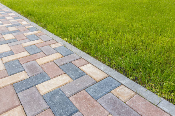 Best Decorative Driveway Pavers  in Egypt Lake Leto, FL